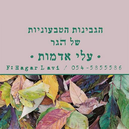 הגבינות הטבעוניות של הגר עלי אדמות
