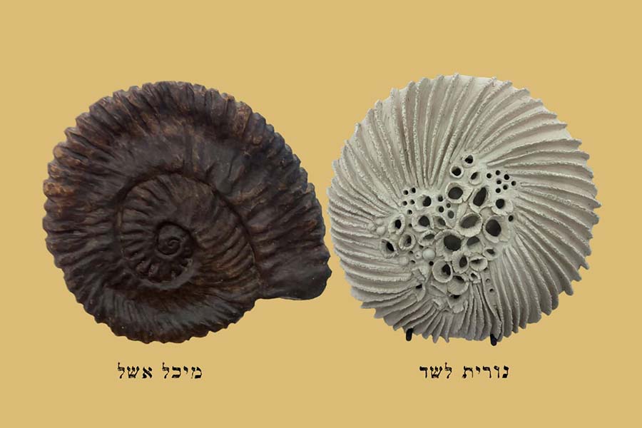 שיח גלריה תערוכת ״מעברים״