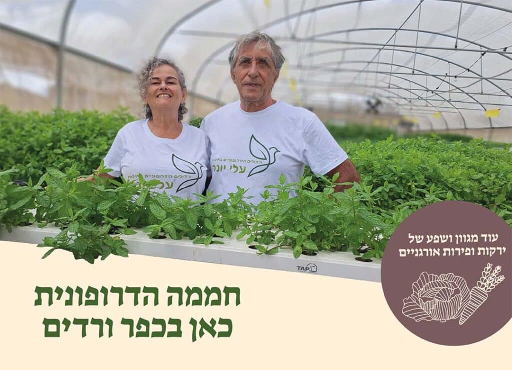 עלי יונה - חממה הידרופונית לגידול עלים ירוקים